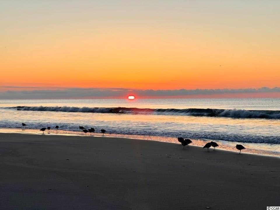 Beautiful Beachfront-Oceanfront First Floor 2Br 2Ba Condo In Cherry Grove, North Myrtle Beach! Renovated With A Fully Equipped Kitchen, 3 Separate Beds, Pool, Private Patio & Steps To The Sand! Extérieur photo